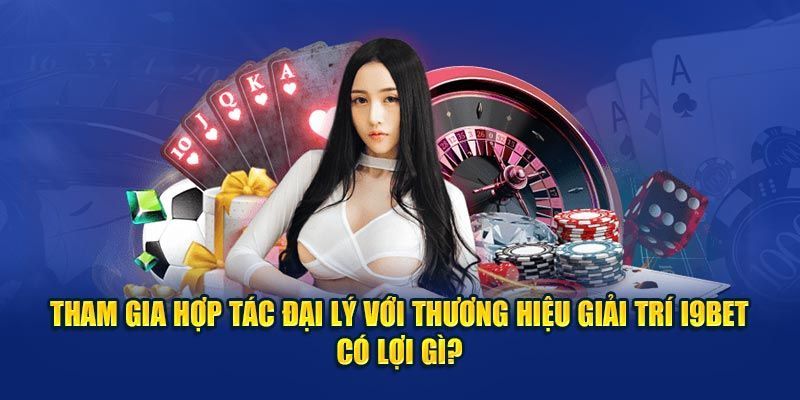 Chính sách hoa hồng và quyền lợi đại lý