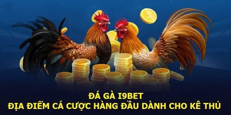 Hướng dẫn tham gia đá gà tại i9bet