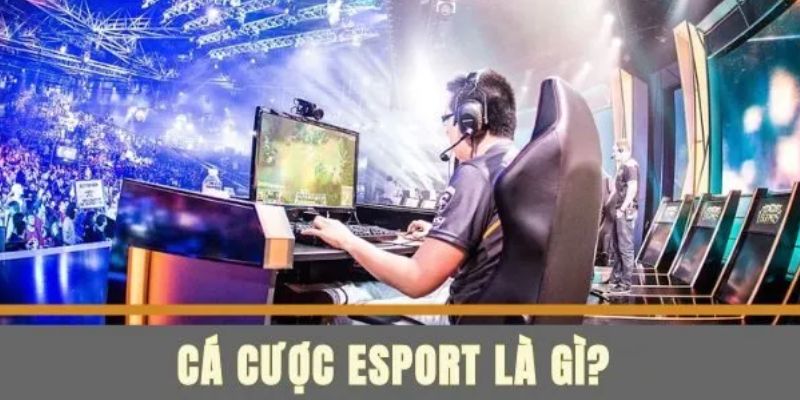 Tại sao esport i9bet là lựa chọn hàng đầu cho người chơi